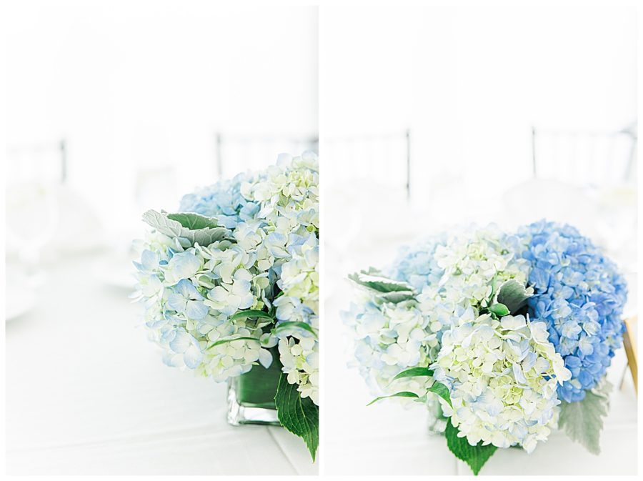 hydrangeas at South Shore Country Club