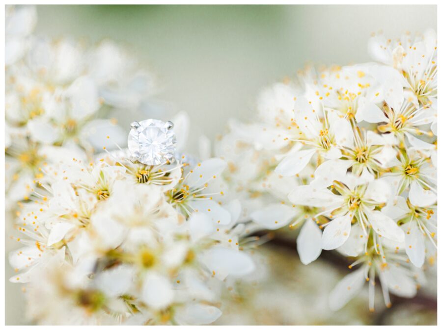 Boston blossom engagement ring