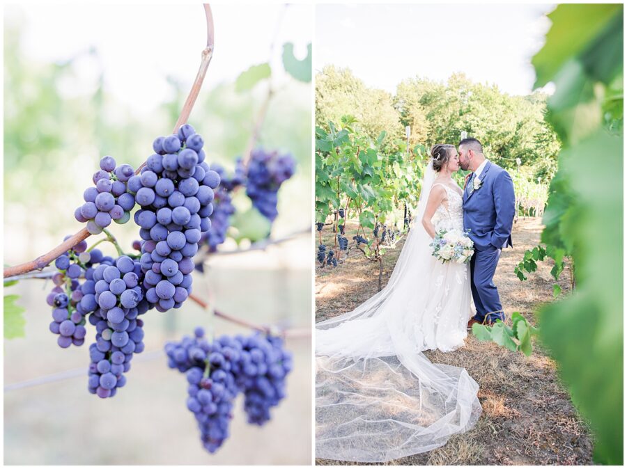 Bride and groom kissing in a vineyard during first look