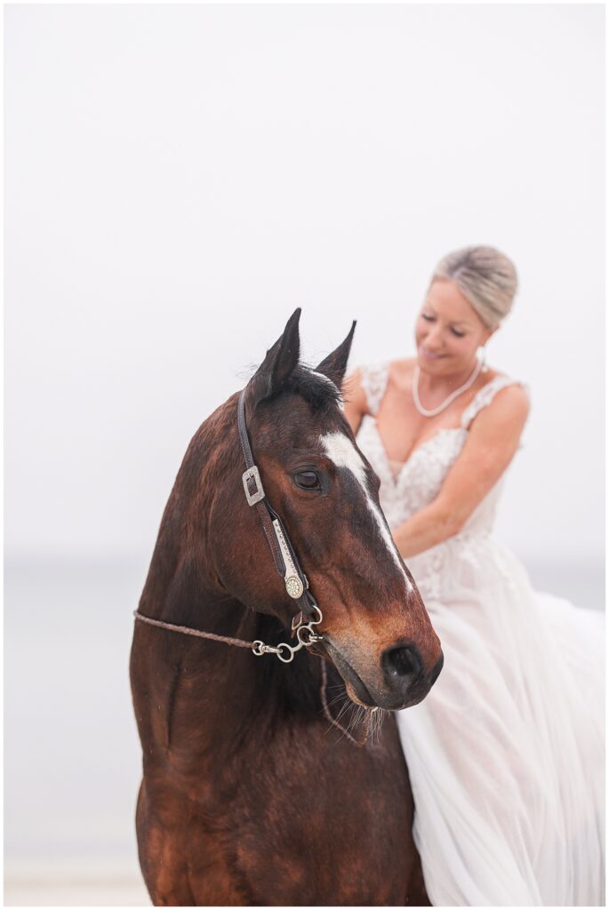 Horse looking into the distance as her bride pets her mane during a Cape Cod bridal photo session