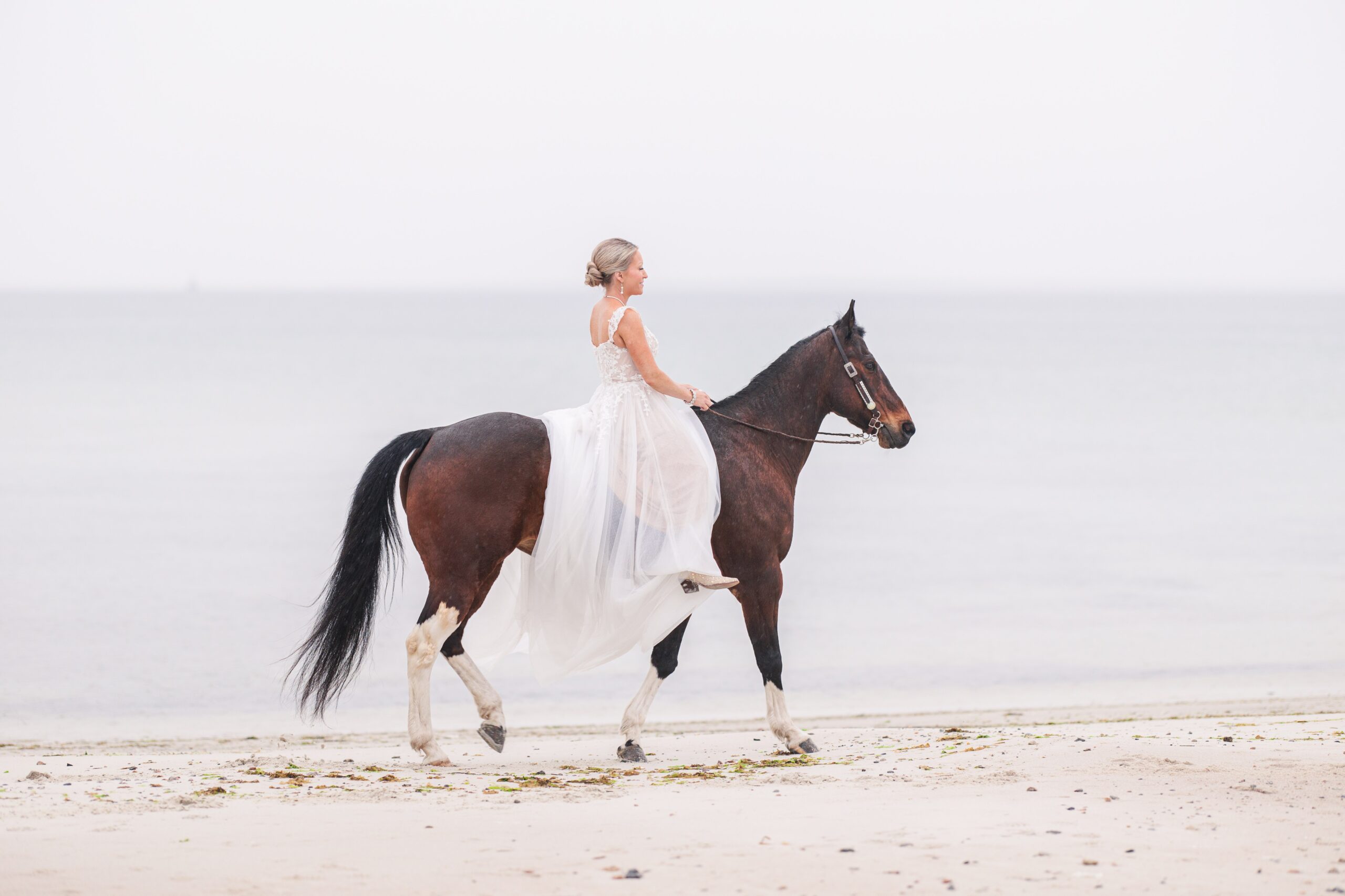 Bride in her dress riding on her horse at Old Silver Beach in Falmouth, MA