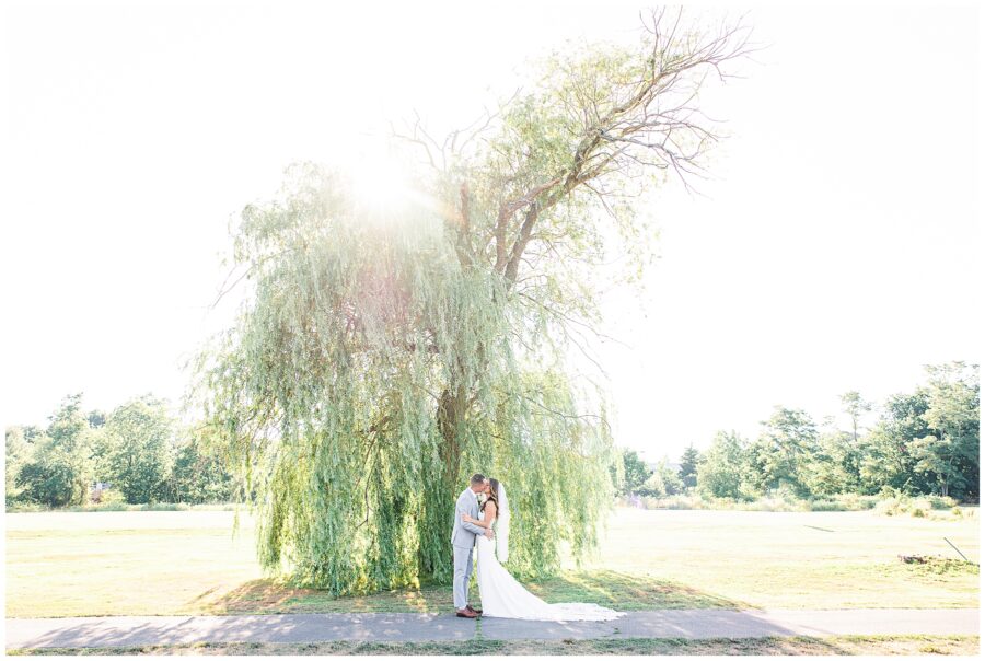 Bride and groom embracing under a large willow tree with sunlight streaming through the branches.