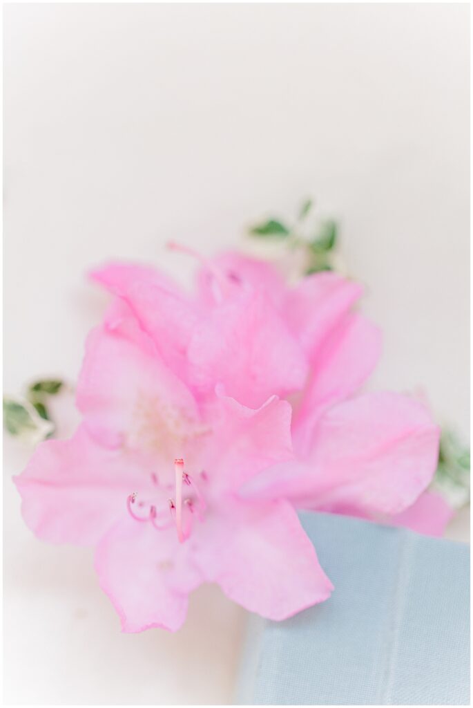 Pink flower with greenery and a light blue wedding album in the background.