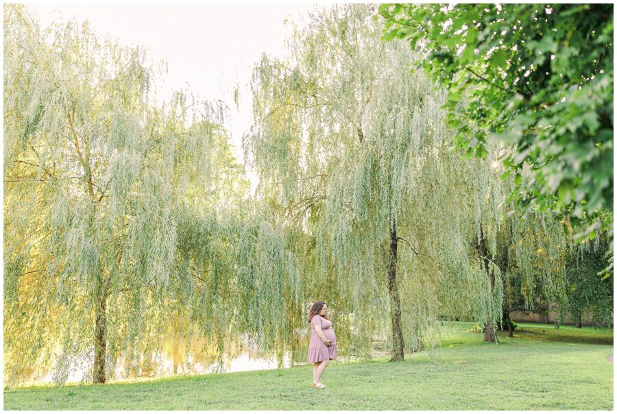 A pregnant woman in a lavender dress walking near a row of large willow trees in Larz Anderson Park, Brookline, MA, with a calm pond in the background.