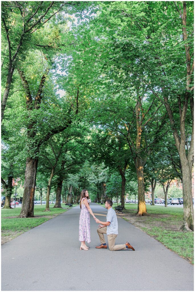 A wider view of the proposal at Commonwealth Avenue Mall, showing the tree canopy above the couple. The man is on one knee, holding the woman’s hand as she looks down at him, with a pathway extending into the distance under the trees.