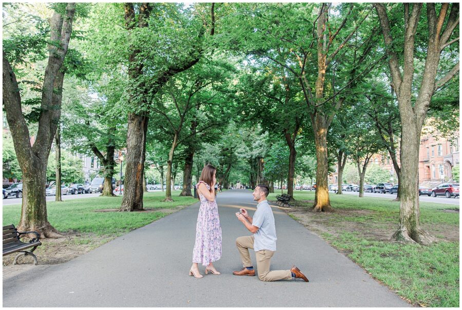 The man continues to propose on one knee, while the woman holds her hand to her face, reacting with surprise. The tree-lined path and park surroundings of Commonwealth Avenue Mall are visible, with some cars parked in the background.