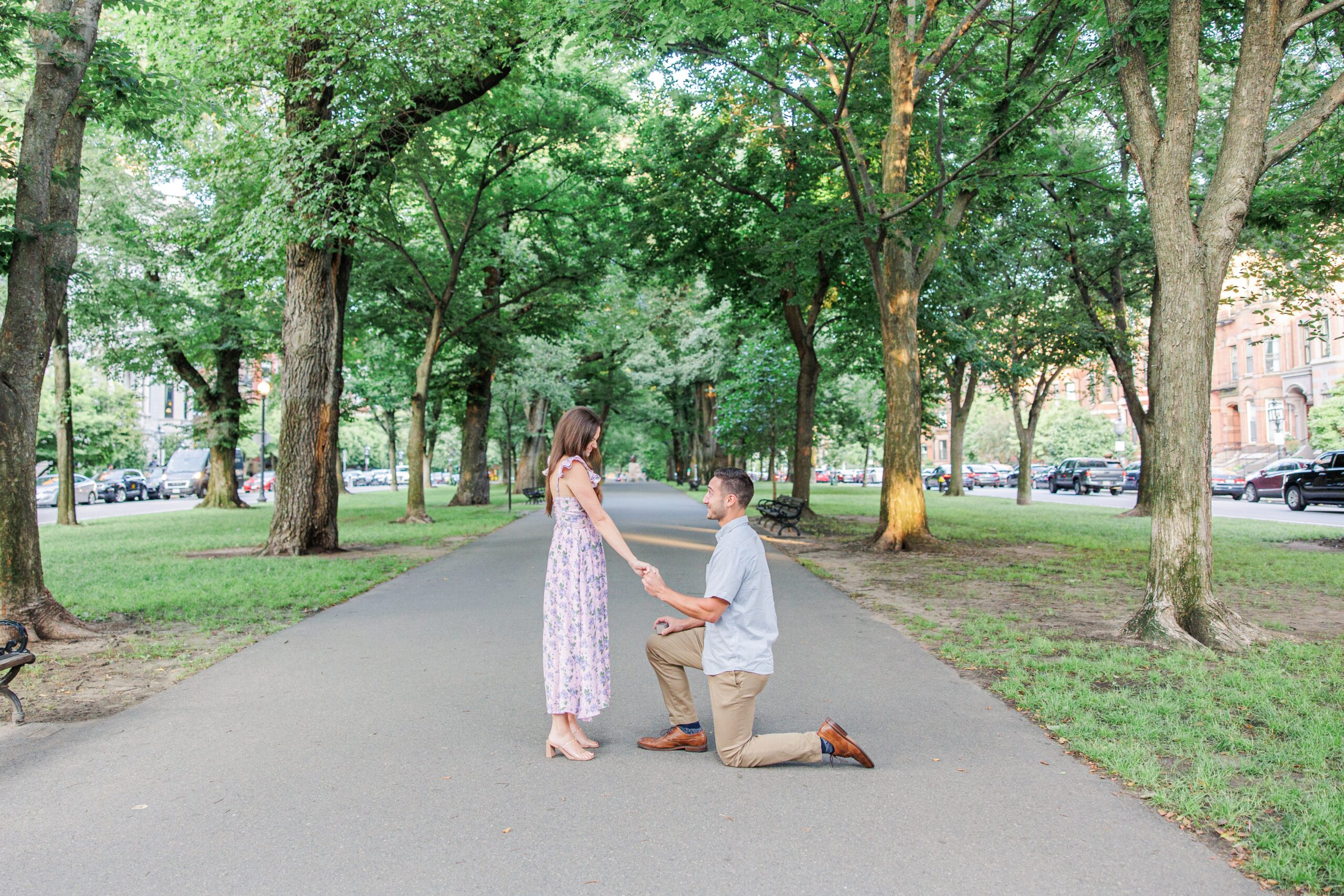 A wide view of the proposal in Boston Commonwealth Avenue Mall. The man kneels on one knee on a tree-lined path, proposing to the woman. The couple is surrounded by tall trees and benches, with parked cars visible in the background.