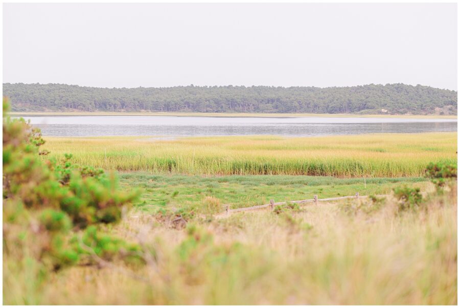 A wide view of the Great Island Trail marshlands with a calm body of water in the distance, surrounded by vibrant green grasses. This scenic landscape is a favorite for Cape Cod maternity photographers.