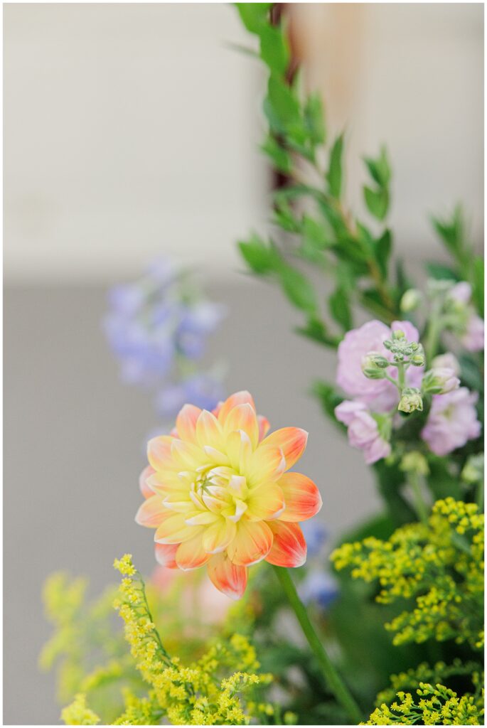 A close-up of a single flower with soft yellow and orange petals among other flowers and greenery.