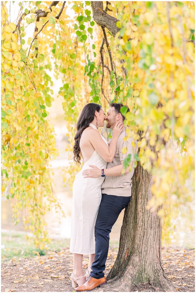 The couple shares a kiss while standing against a tree in Boston Public Garden. Golden fall leaves hang around them, creating a vibrant and romantic backdrop for Boston engagement pictures.