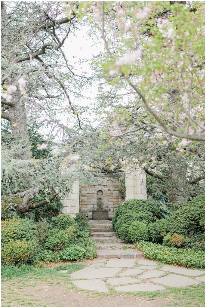 A stone fountain structure surrounded by lush greenery and framed by blossoming tree branches in Bishop’s Garden at the Washington National Cathedral.