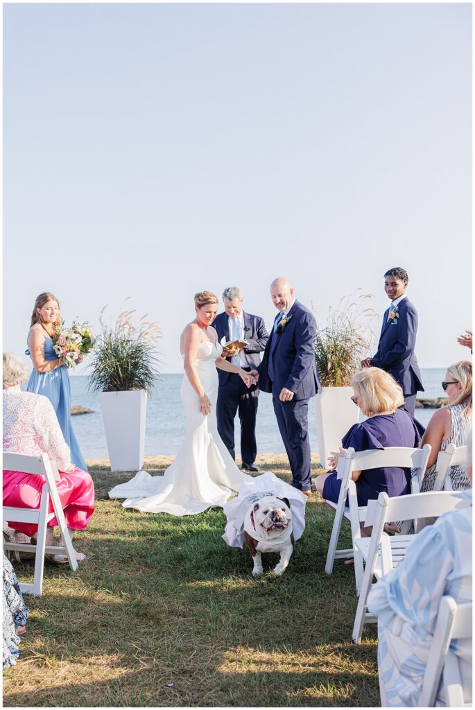 Bride and groom celebrating at the altar as their bulldog walks down the aisle in a wedding outfit. A playful and heartfelt Cape Cod wedding ceremony detail.