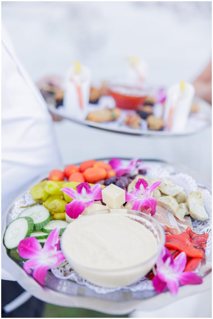 Colorful hors d’oeuvres tray with hummus, fresh vegetables, cheese, and orchids during cocktail hour. A vibrant wedding reception detail captured on Cape Cod.
