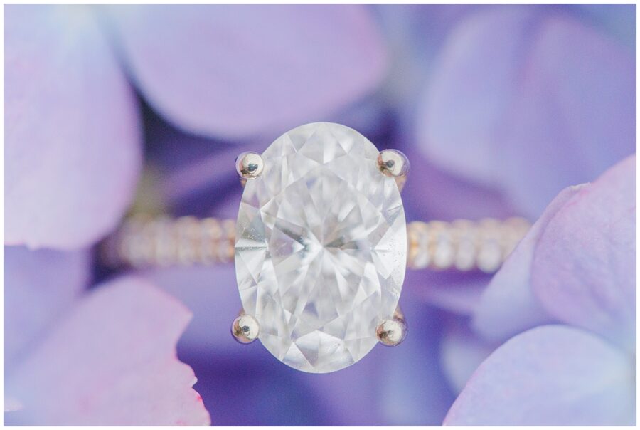 Close-up of oval engagement ring with diamond solitaire nestled among purple hydrangea petals at Chatham Bars Inn