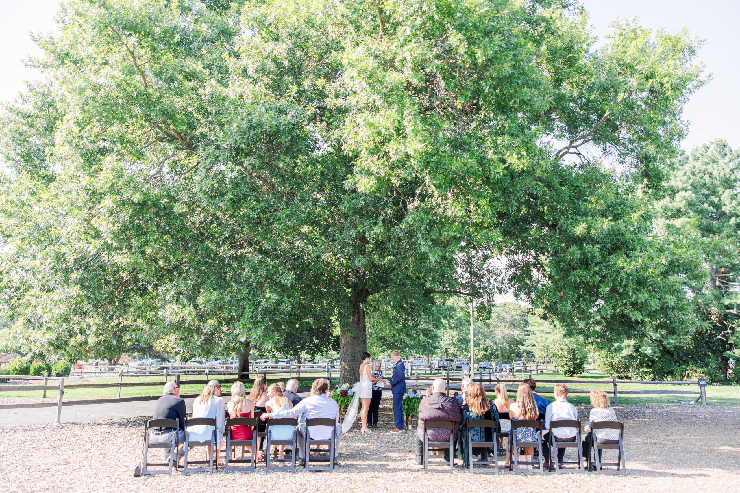 Wedding ceremony setup under a large tree with rows of black chairs, captured by a Boston Elopement Photographer.