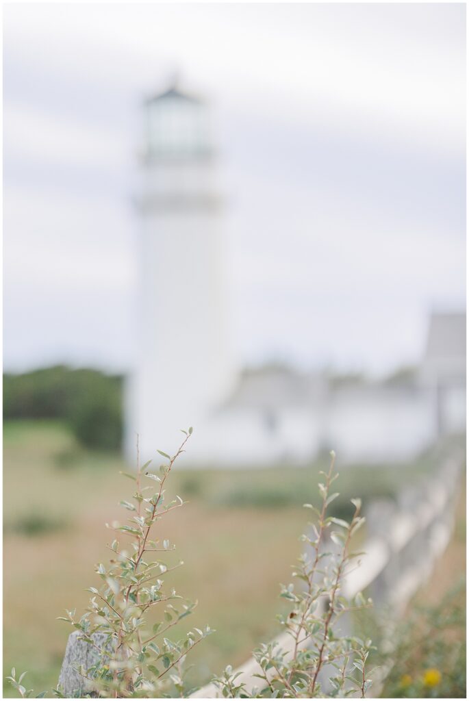 Close-up of small green branches in focus with Highland Lighthouse blurred in the background.