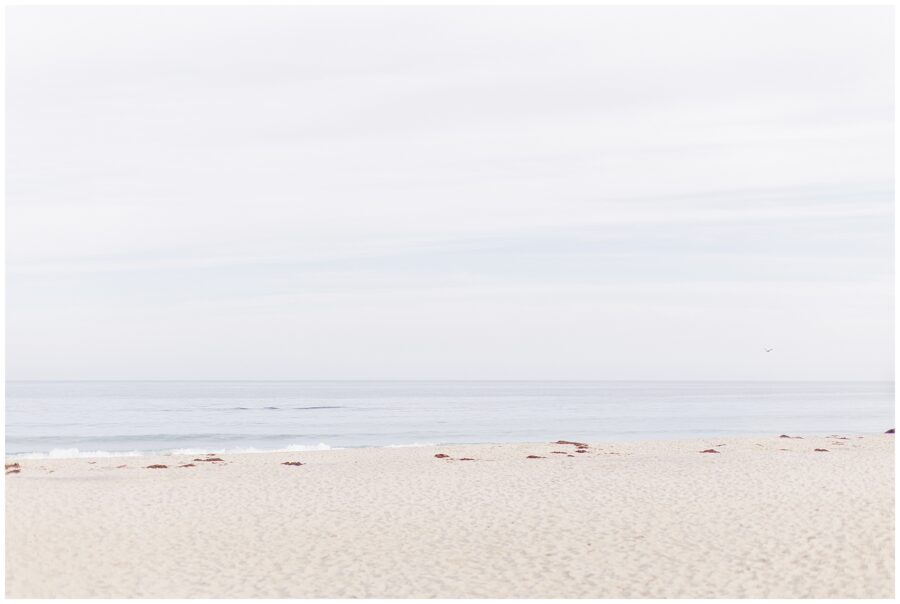 Wide view of the sandy shoreline and calm ocean waves under a pale blue sky at Nauset Beach Inn in Cape Cod.
