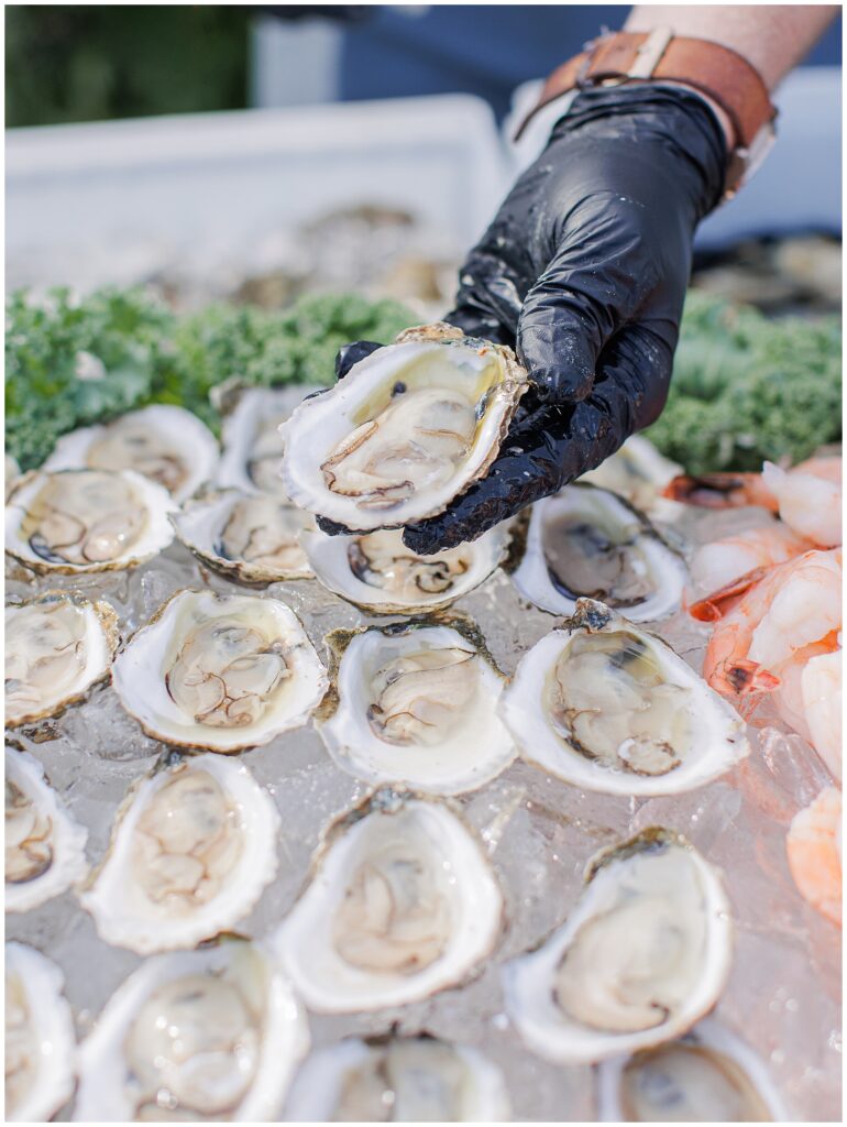 Close-up of a gloved hand holding a fresh oyster over a bed of oysters and shrimp on ice, part of the raw bar at a coastal wedding reception at Nauset Beach Inn in Cape Cod.