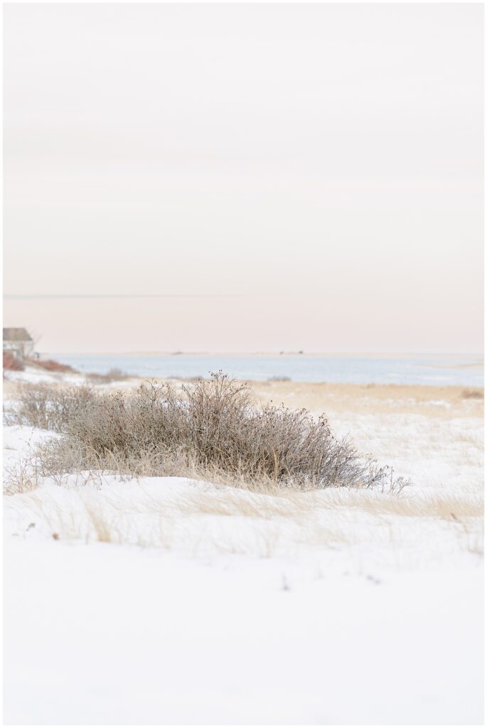 Snowy dune landscape at Chatham Lighthouse Beach in Chatham, MA Cape Cod, setting the scene for a winter Chatham Lighthouse Beach proposal.