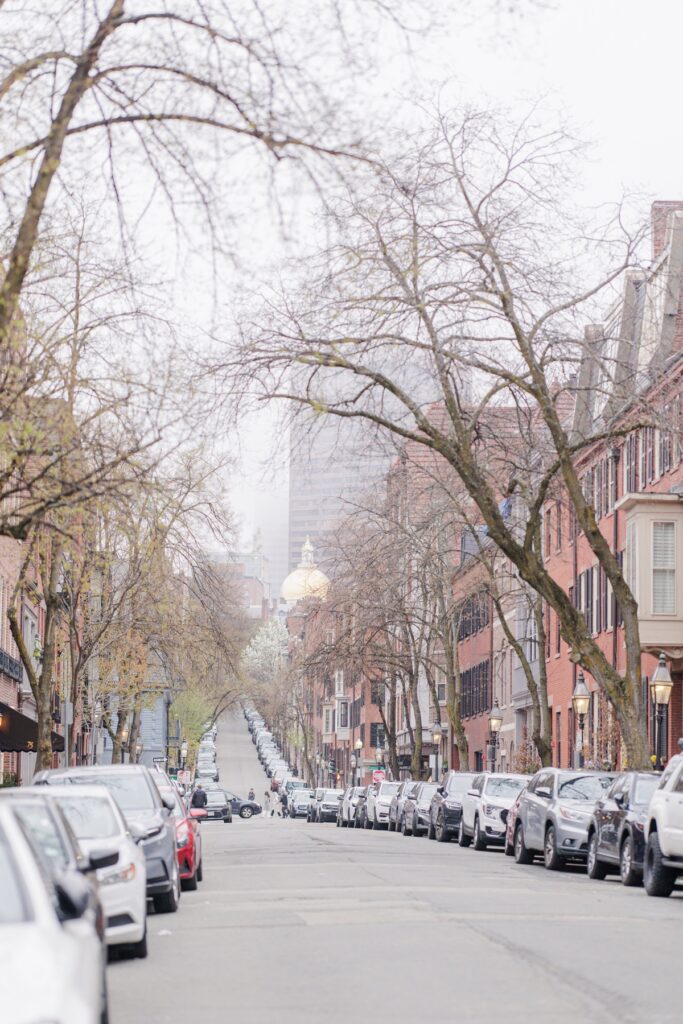 historic Acorn Street views during Beacon Hill engagement photos in Boston