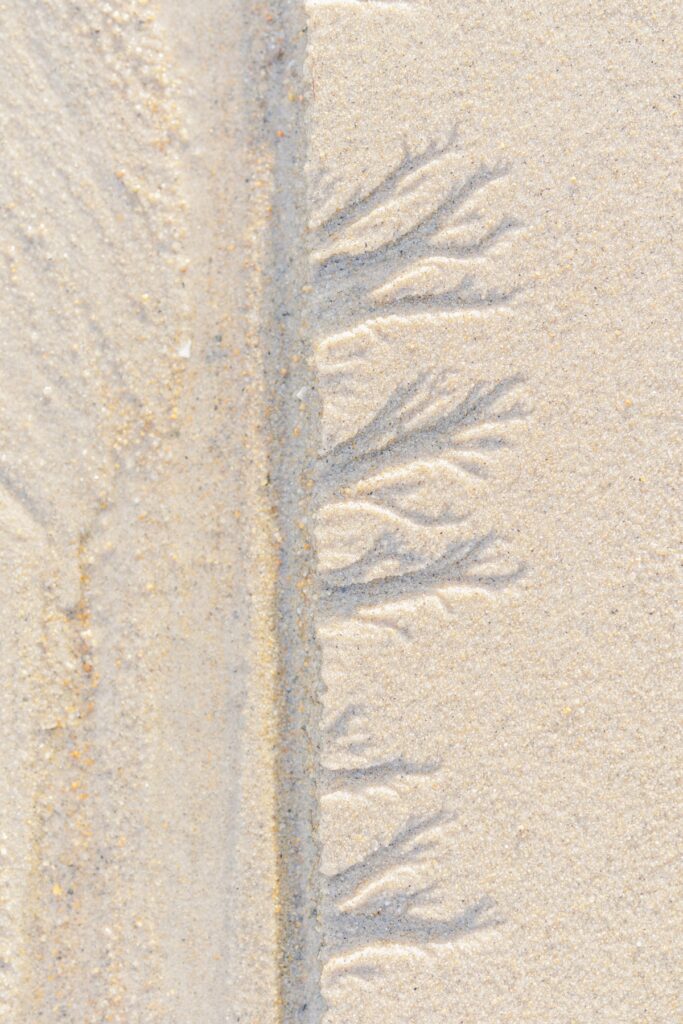 Trails left from ocean water  pulling away from the shore in the sand. 