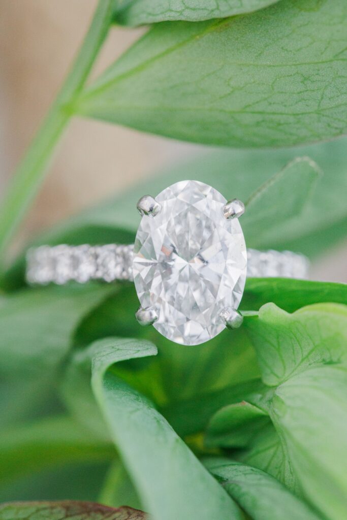     Oval diamond engagement ring photographed on green leaves during a Seabrook, NH engagement session.