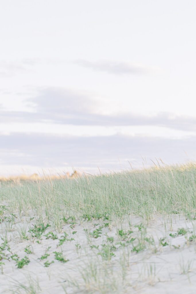     Soft dune grass and sandy beach landscape photographed during a Seabrook, NH engagement session.