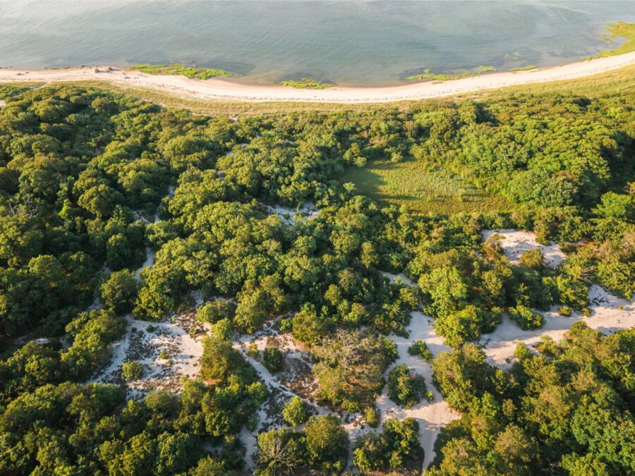 Drone view of a quiet Cape Cod beach surrounded by wooded dunes and shoreline.