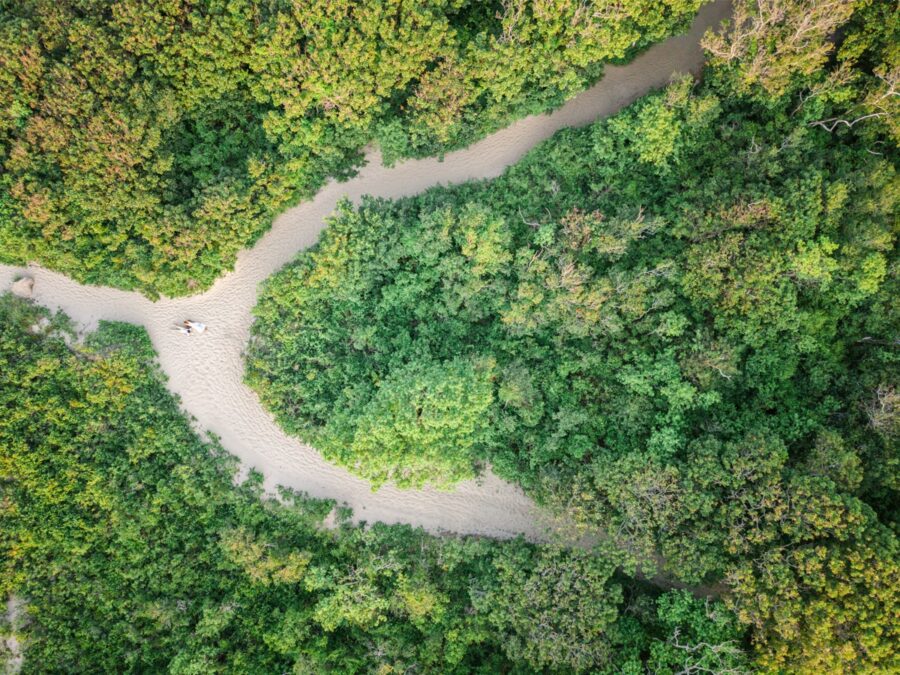 Aerial view of a winding sandy trail leading through the woods to a quiet Cape Cod beach.