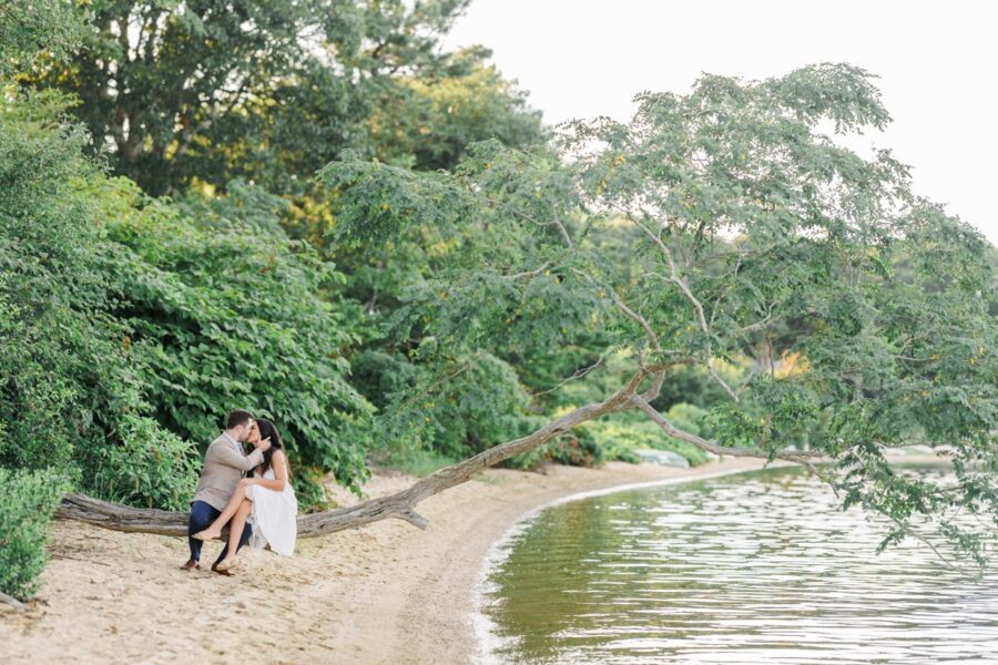Newly engaged couple sharing a kiss beneath a tree on a private Cape Cod beach.