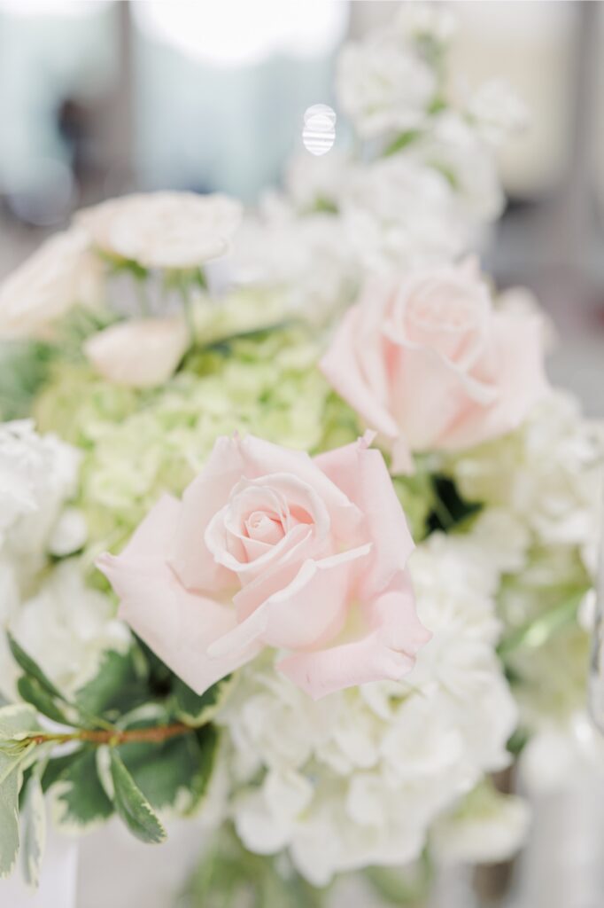 Close-up of blush roses and white hydrangeas in the Salem Country Club wedding reception flowers.